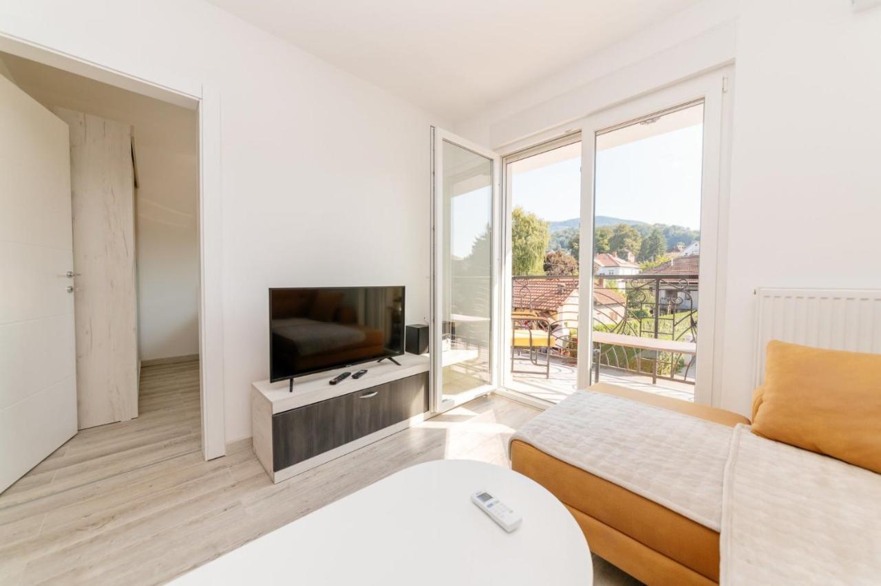 Apartman Jovana Banja Koviljača Exterior foto